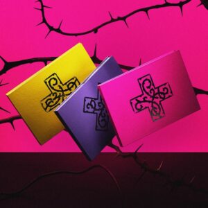 7TH YEAR: A Moment of Stillness in the Thorns (Versión Standard SET) [7TH YEAR: 가시덤불에 잠시 바람이 멈췄을 때] (copia)